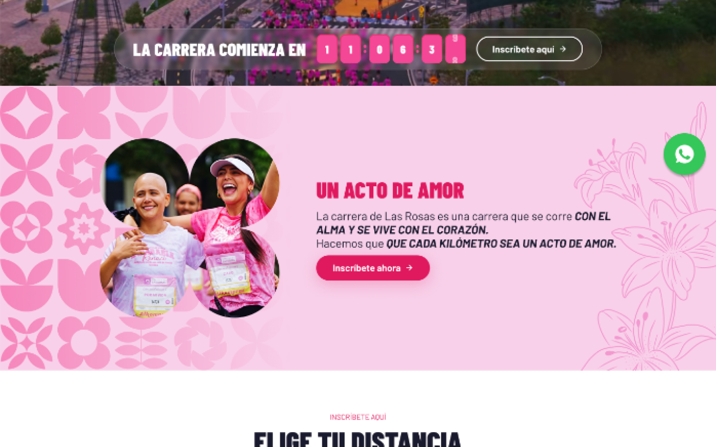 Carrera de las Rosas · Página interna · Cuenta regresiva y propósito