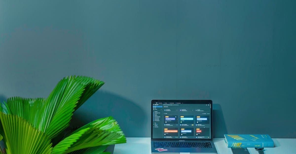 Agencia digital trabajando en una interfaz de diseño web en español para México